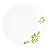 Dĩa Corelle 26cm Olive Garden 110-OG-LP - Made in USA